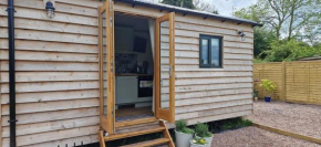 Cosy Owl - Shepherds Hut